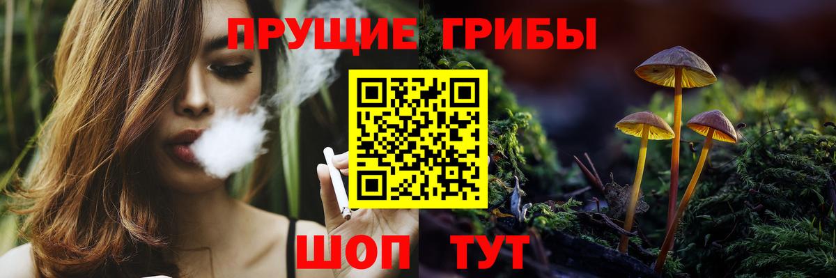 Псилоцибиновые грибы прущие грибы  Псилоцибиновые грибы ЛСД  Вход с VPN  Нижнеудинск 